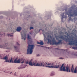 scan2025 11 25 105219 055.png (1)