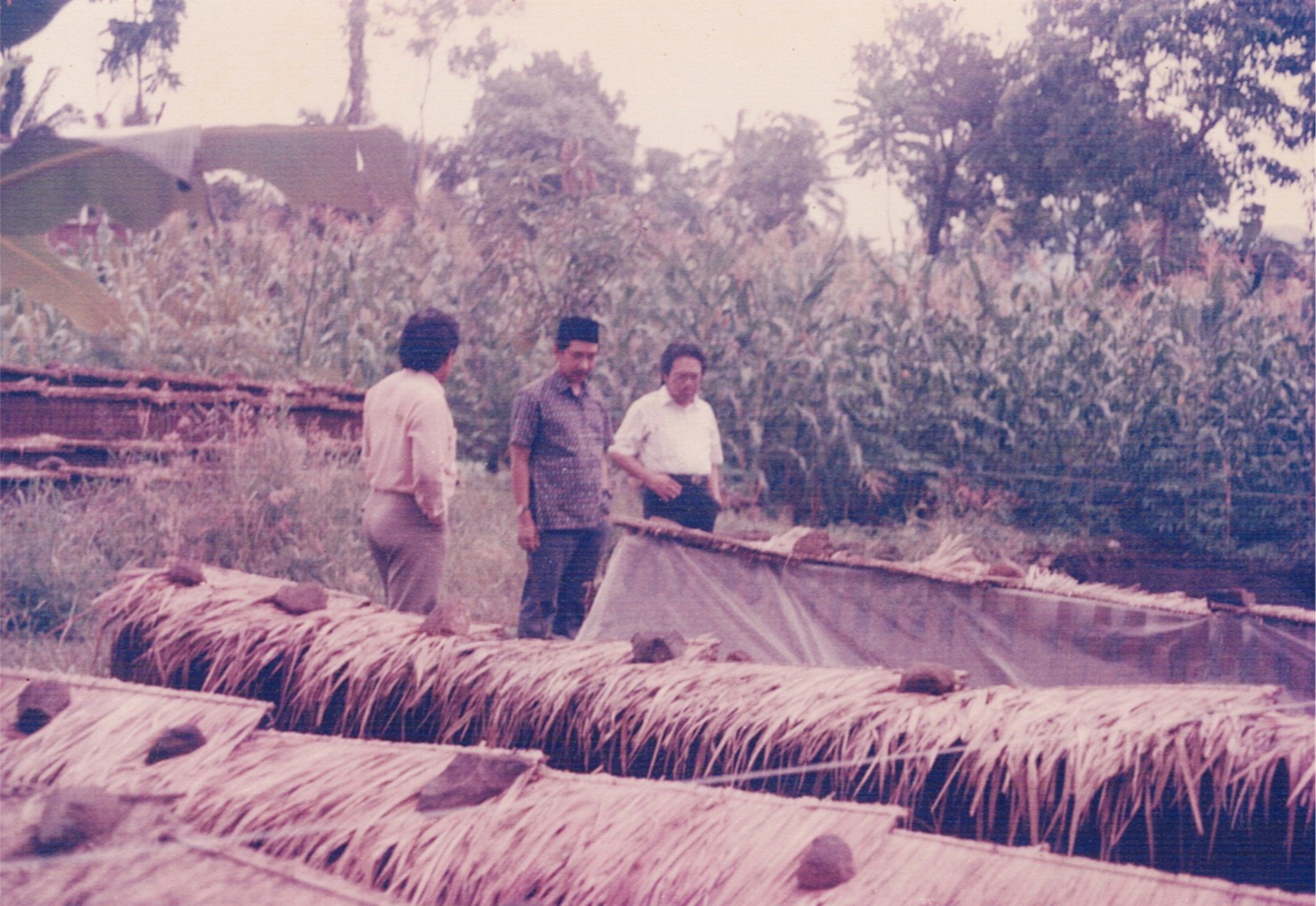 scan2025 11 25 105219 055.png (1)